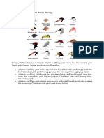 Adaptasi Morfologi Pada Paruh Burung