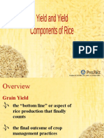 Yield and Yield Components. JOAN