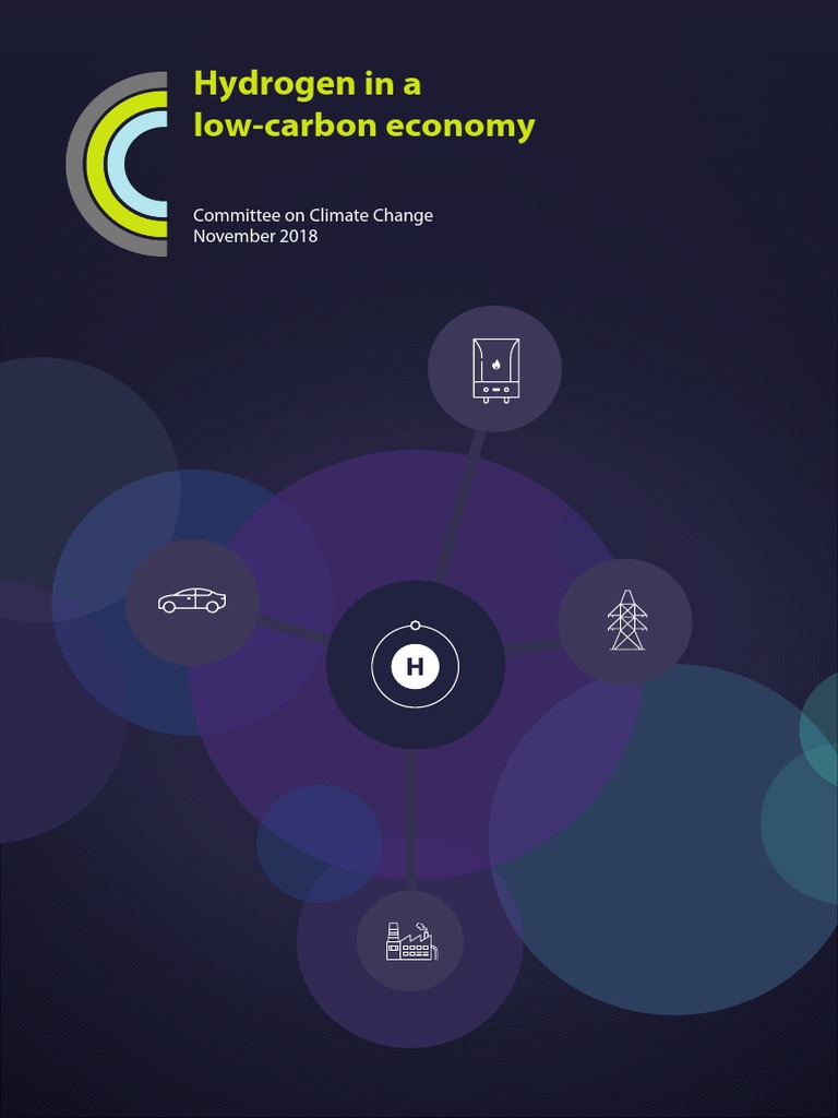 Hydrogen in A Low Carbon Economy | PDF | Low Carbon Economy | Efficient ...
