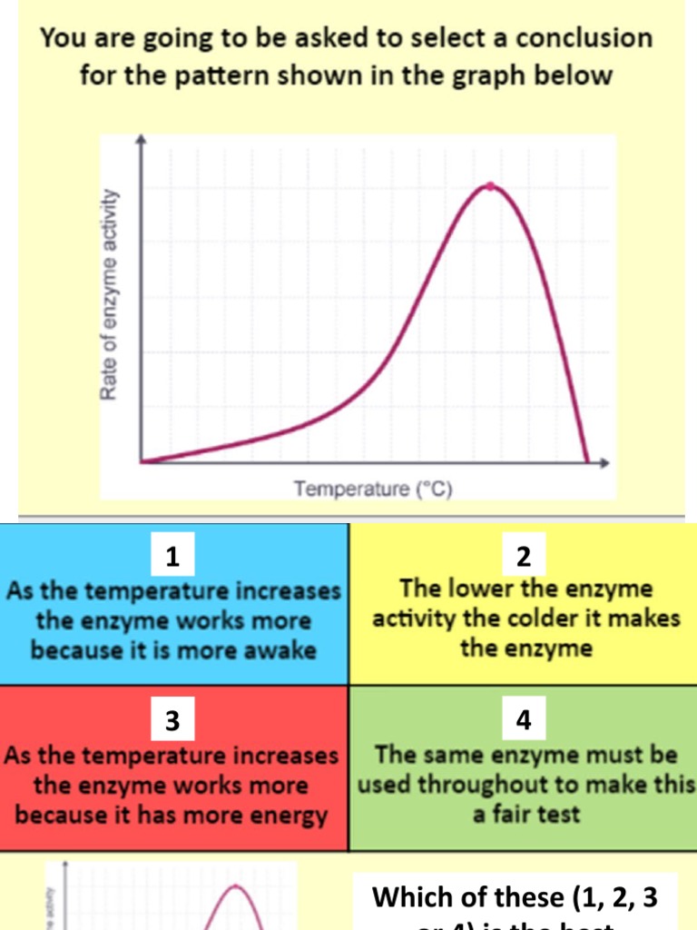 Enzyme Action: Hinge Point Question Guide | PDF | Teaching Methods ...