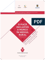 O Piaa Inclusiva A Muncii in Mediul Rur PDF