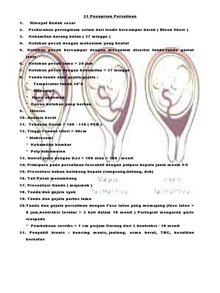 21 Penapisan Persalinan Pdf