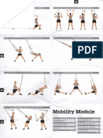 TRX Force Tactical Conditioning Program - Posters [2011].pdf