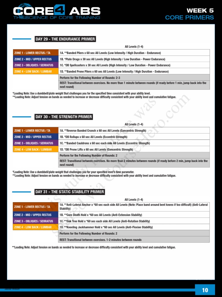 Core Primers Workout Plan for All Levels | PDF | Anatomical Terms Of ...