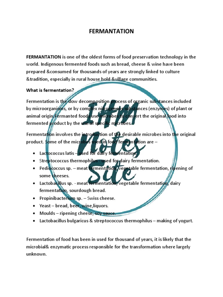 Understanding Food Fermentation Processes | PDF