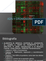 Modulo 2. 2.1 ADN y Cromosomas