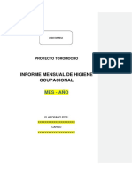 Modelo de Informe Mensual - Instructivo