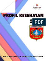 Profil Kesehatan 2018 Karangasem.pdf