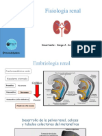 Fisiología Renal