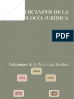 SUBCAMPOS_DE_LA_PSICOLOGIA_JURIDICA