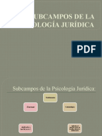 Subcampos de La Psicologia Juridica