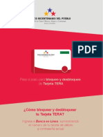 Paso A Paso Tera PDF