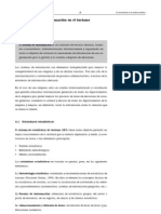 Los Sistemas de Información en El Turismo: Los Estándares Estadísticos, Conceptos Estadísticos Básicos.