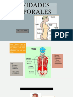 Cavidades Corporales Parte 1