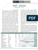 RCB Perú - Brasil - I Semestre 2019 PDF