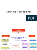 Basemoleculardelavida