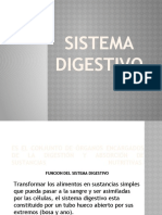 Diapositivas Sistema Digestivo
