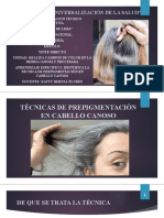 Clase N°13 Online - Técnica de Prepigmentación en Cabello Canoso - 14-07-20