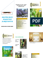 Modelo Folleto PDF