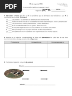 Evaluacion CienciasC 1, L 4, 5 y 6