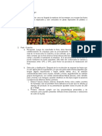 325450442-Proceso-Logistica-Del-Mango.docx