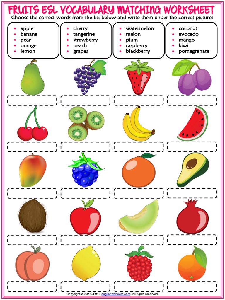 fruits vocabulary esl matching exercise worksheet for kids pdf