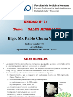 Sales Minerales