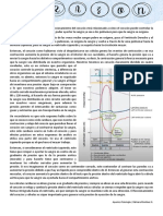 Apuntes Fisiología Cardiovascular.