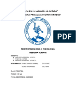 Morfisiología I: Fisiología Humana