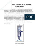 CommonRail Diesel.pdf