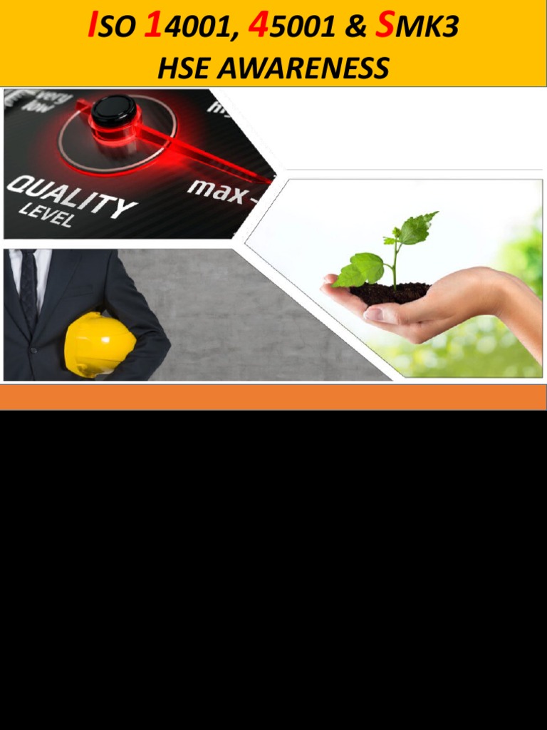 HSE Implementation & Standards Guide | PDF | Business