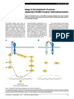 A New Anti-Erbb2 Strategy in The Treatment of Cancer: Prevention of Ligand-Dependent Erbb2 Receptor Heterodimerization