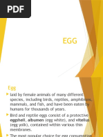 EGG