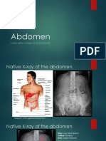 Abdomen Anatomy PDF