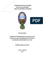 Sarcocistiosis Llamas PDF