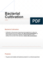 (A) Bacterial Cultivation1