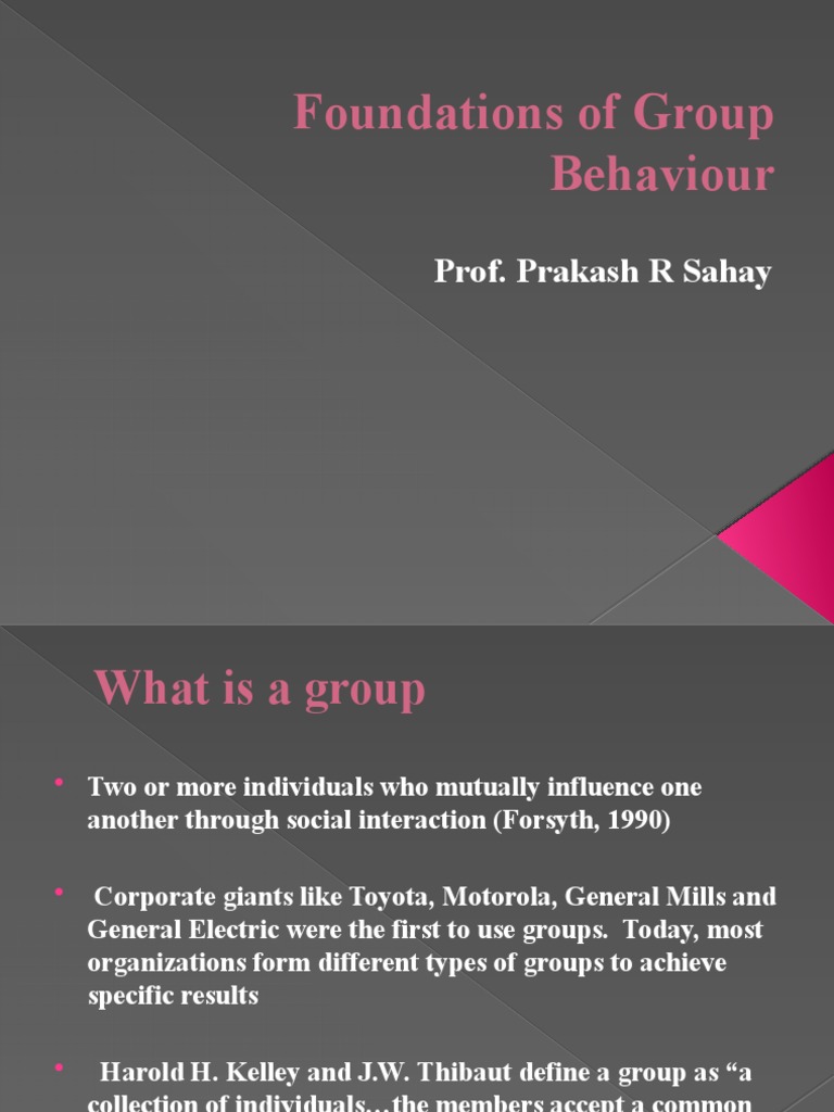 Foundations of Group Behaviour PDF Committee Leadership
