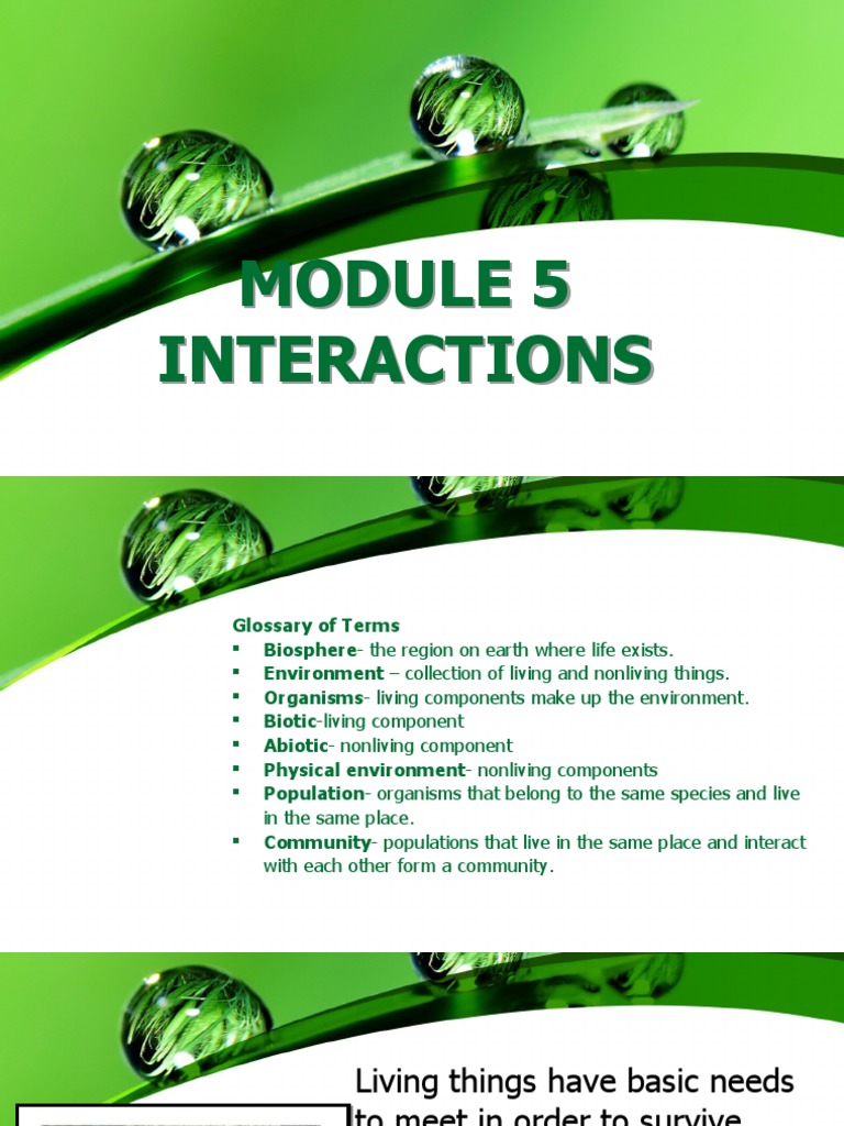 MODULE 5 Interactions | Download Free PDF | Parasitism | Predation