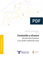 Contenido y Alcance Del Dh a Un Medio Ambiente Sano_version Final_10 de Julio_0