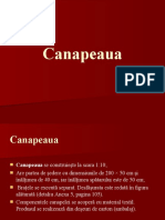 Canapeaua