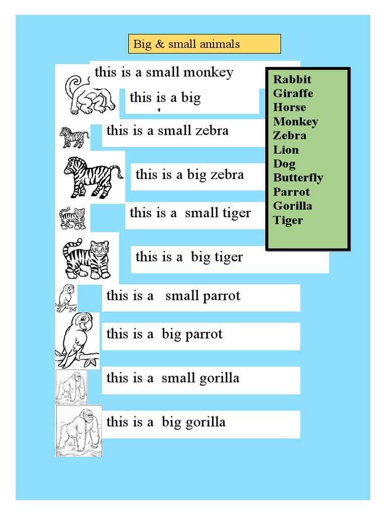 Big & Small Animals: Rabbit Giraffe Horse Monkey Zebra Lion Dog ...