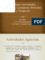 Régimen Actividades Agrícolas, Ganaderas, Silvícolas