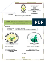 Rapport Stage Académique D'imprégnation 1 PDF