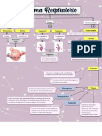 Mapa Conceptual Histologia