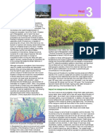 Mangrove PDF