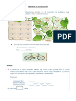 Practica de Multiplicacion