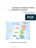 CAP II Matriz Polimerica PDF
