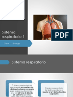 Clase 11 Sistema Respiratorio PDF