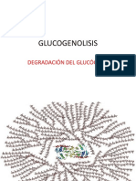 GLUCOGENOLISIS