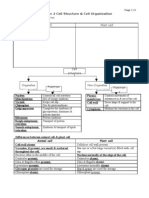 Cell Structure